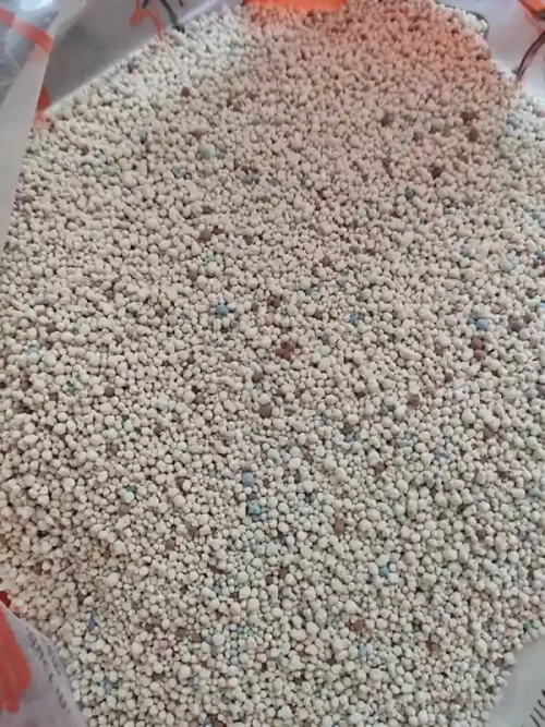 bentonite clay cat litter