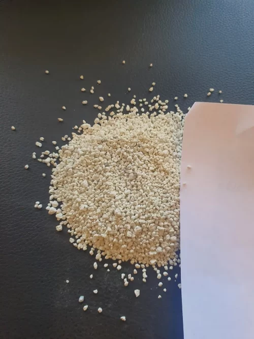 bentonite litter for cats