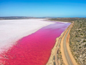 pink salt lake