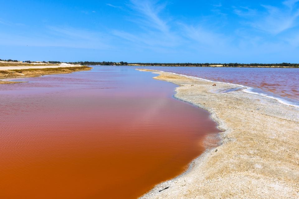 pink salt lake
