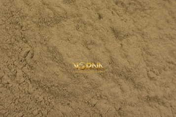 What Is Calcium Bentonite? 2 Where to Buy Calcium Bentonite