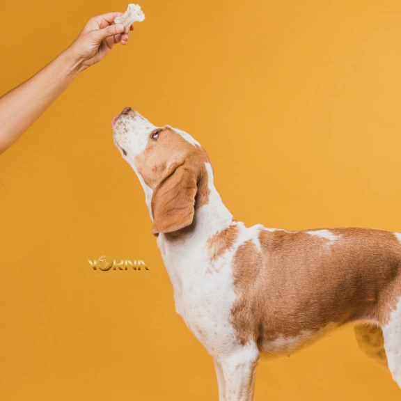 kaolin dogs