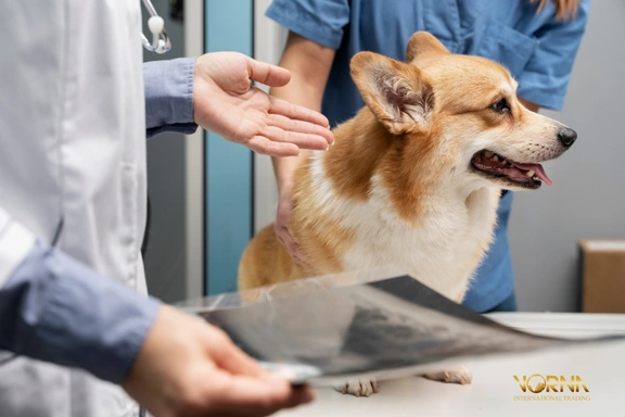 kaolin for dogs