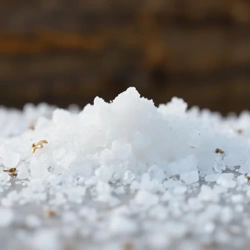 Sea Salt Price Per Kg