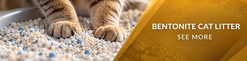 cat-liter-bentonite